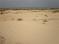 Це воно - безлюддя, вона - пустеля, він - пісок..